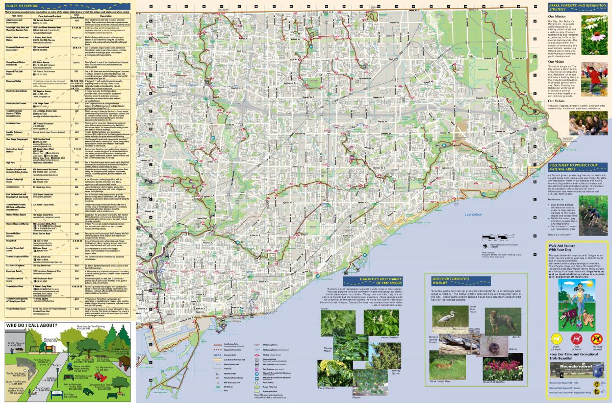 Žemėlapis stovėjimo aikštelių ir pėsčiųjų takai Rytų Torontas