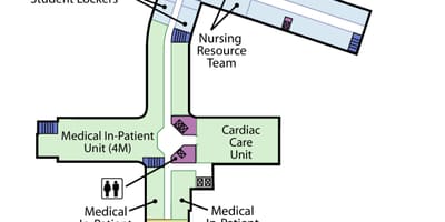 Žemėlapis Juozapo Sveikatos centre Toronto 4 lygis