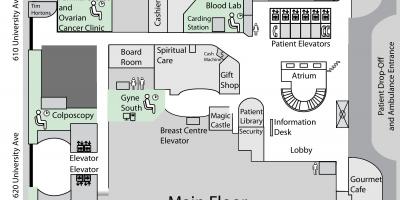 Žemėlapis Princesė Margaret Vėžio Centre Toronto pagrindiniame aukšte