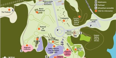 Žemėlapis RBG Arboretum