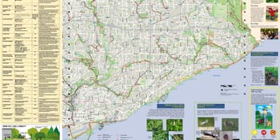 Žemėlapis stovėjimo aikštelių ir pėsčiųjų takai Rytų Torontas